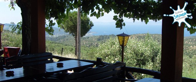 Taverna Pauls - bašta u hladovini sa panoramskim pogledom