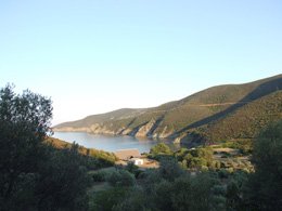 zelena boja dominantna