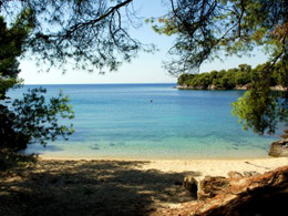 plaže sa borovima u zaleđu/porto carras