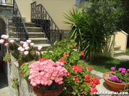castri studios/bašta u cveću