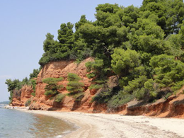 crvena plaža/zemlja i borovi