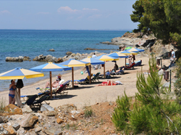 plaža hotela blue dolphin