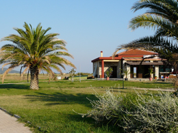 psakoudia/sitonija